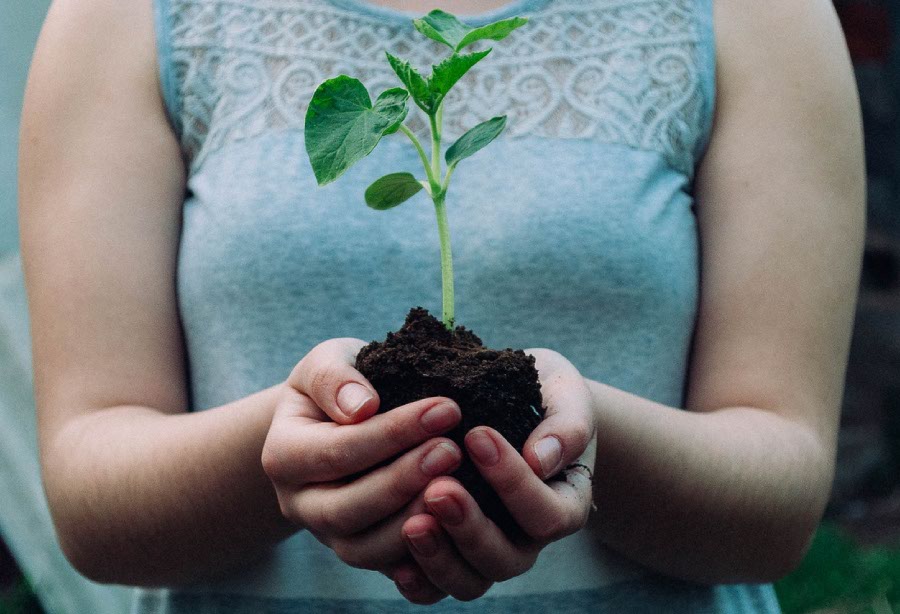 Nurture them because You Are Only As Good As Your Customers