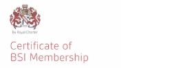 BSI Membership