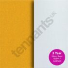 Oralite 5200 Economy Grade - Swatch