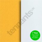 Oralite 5710 Engineer Grade - Swatch