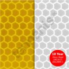 Oralite 5810DP High-Intensity Grade - Swatch