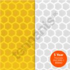 Oralite 5930 Prismatic Construction Grade - Swatch